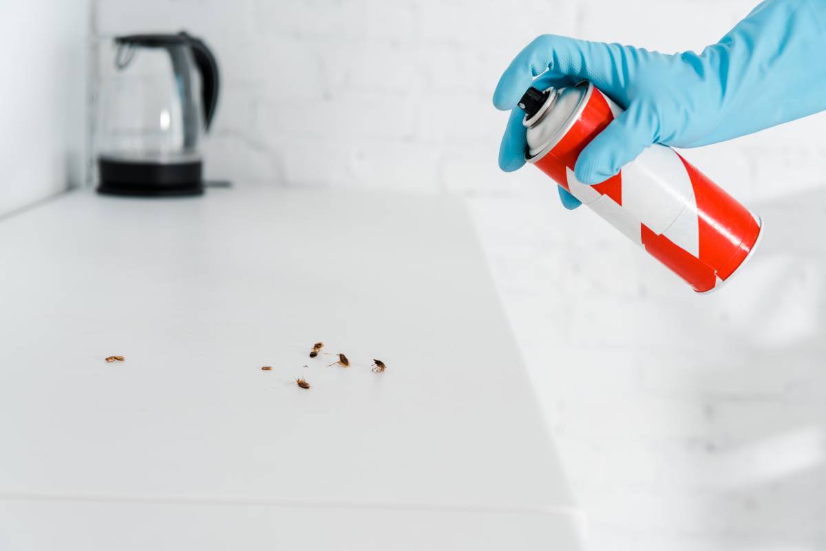 Can I do commercial pest control myself
